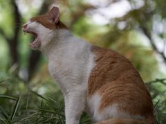 -苏州河梦清园环保主题公园