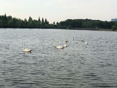 -艾溪湖湿地公园