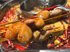 -蜀九香火锅(九眼桥店)