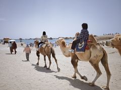 -敦煌雅丹国家地质公园