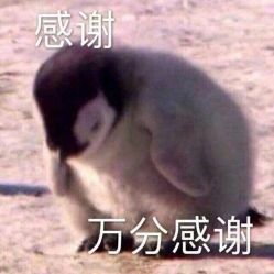 -Kraemer Paris  苏豪路易士·嘉玛发廊