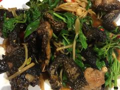 -花莲东大门国际观光夜市