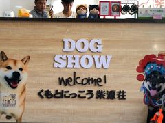 门面-柴源莊·柴小宠柴犬咖啡