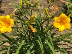 -塞罕坝国家级自然保护区