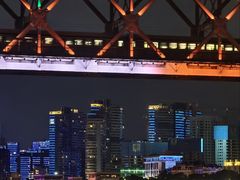-武汉两江游览·夜游长江(汉口粤汉码头)