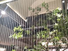 -杏花村水席楼·洛阳水席(老城十字街店)