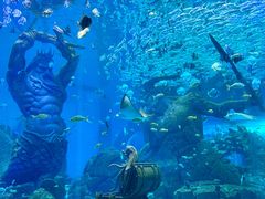 -哈尔滨波塞冬海底世界