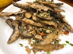 -全乐鱼馆·淳牌有机鱼直营店