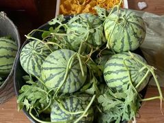 -南汇新场正宗水蜜桃采摘