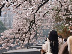 -红星桥(地铁站)
