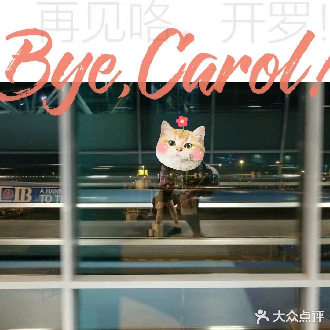 如果你看到旅行团的行程包括埃及的