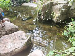 -郑州植物园