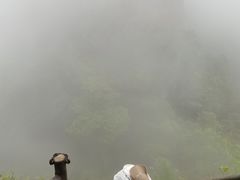 -七仙岭温泉国家森林公园