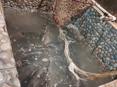 -蜀留香石锅鱼(六顺街店)