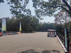 -上海海湾国家森林公园