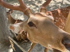 -水上乐园·欢乐世界