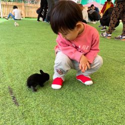 -萌宠亲子动物乐园(槐房万达店)