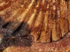 碳烤羊排-古韵山庄