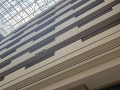 -马哥孛罗咖啡厅·Cafe Marco (厦门马哥孛罗东方大酒店)