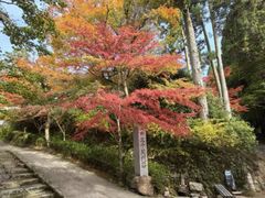 -三千院