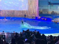 -华夏文旅海洋公园