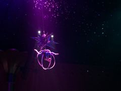 -珠海横琴长隆《卡卡虎奇遇记》