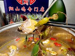 -六浦佳厨 ·地道粤菜(阳山鸡煲店)