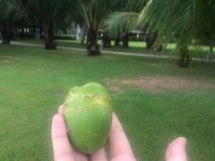 -三亚海棠湾万丽度假酒店