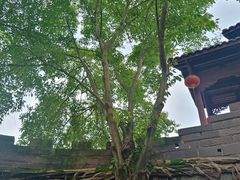-涞滩古镇