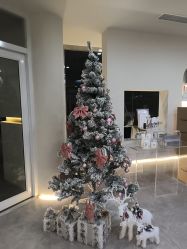 -VE专注问题肌·赛诺龙&科学美肤中心