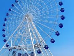 -秦皇岛乐岛海洋王国