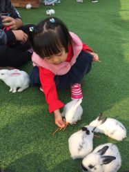 -萌宠亲子动物乐园(槐房万达店)