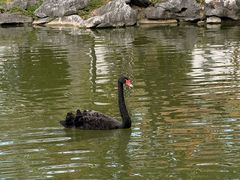 -珠海圆明新园