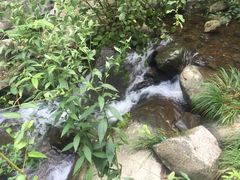 -藏龙百瀑风景区