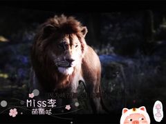 -万达影城(IMAX激光铁西万达广场店)