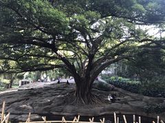 -晓港公园