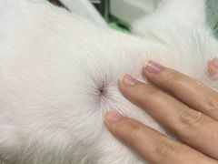 -甄爱宠物医院(疏影路店)