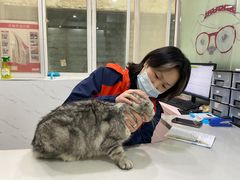 -伟伟宠物医院·CT影像中心·瑞派犬猫综合性门诊(汉口总院)