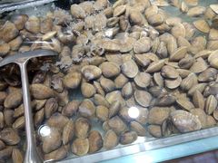 -九寸花汀(摩天活力城店)