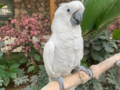 -南宫五洲植物乐园