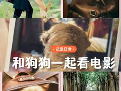 -曹杨影城(曹杨店)