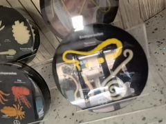 -半岛宠物医院24小时(白果林店)