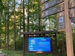 -黄海国家森林公园