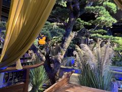 -绿茶餐厅(光谷世界城步行街店)