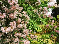 -国家植物园南园