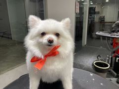 -宠物家(双井店)