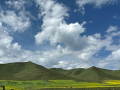 -扁都口生态休闲旅游区