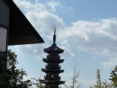 -龙华素斋(龙华路店)