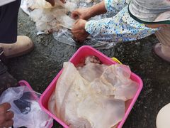 -辽宁团山国家级海洋公园