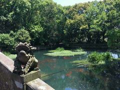 -普陀山风景名胜区-法雨禅寺